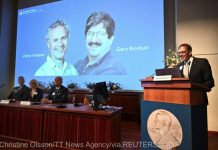 Descoperirea microARN-ului, recompensată cu premiul Nobel pentru Medicină