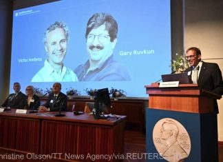 Descoperirea microARN-ului, recompensată cu premiul Nobel pentru Medicină